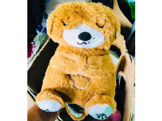 BREATHING TEDDY
