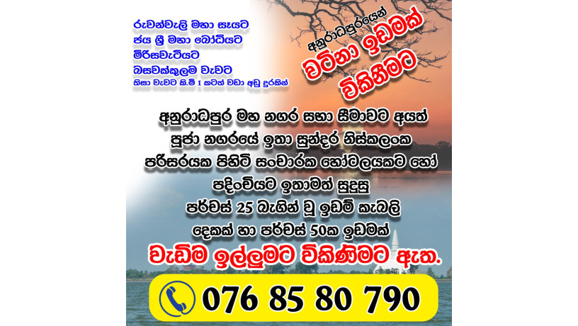 land-for-sale-in-anuradhapura-big-0