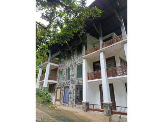 HOUSE FOR SALE IN DIGANA RAJAWELLA
