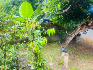 LAND WITH HOUSE FOR SALE IN JA ELA