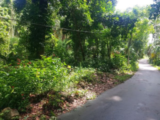 LAND FOR SALE IN PITIHUMA, KEGALLE