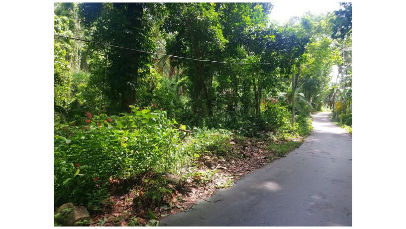 land-for-sale-in-pitihuma-kegalle-big-0