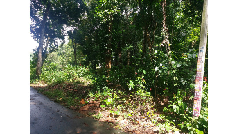 land-for-sale-in-pitihuma-kegalle-big-5