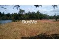 land-for-sale-in-wennappuwa-small-4