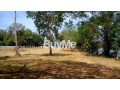 land-for-sale-in-wennappuwa-small-2