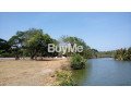 land-for-sale-in-wennappuwa-small-1