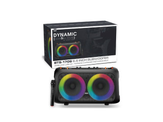 BTS-1709 BASS PORTABLE SUBWOOFER (P04777)