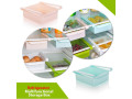 fridge-multifunctional-storage-box-small-0