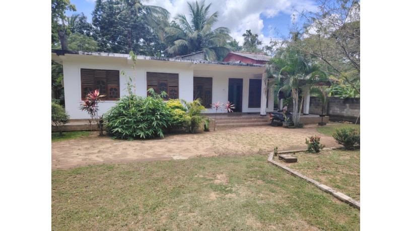 land-with-house-for-sale-in-buttala-big-0