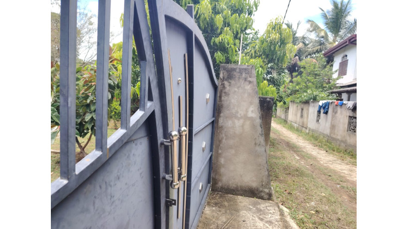 land-with-house-for-sale-in-buttala-big-5