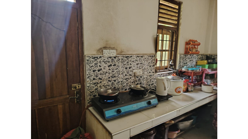 land-with-house-for-sale-in-buttala-big-6