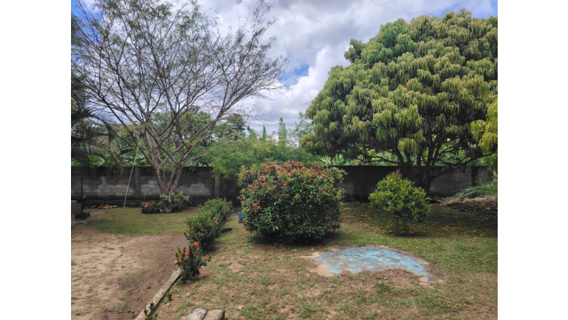 land-with-house-for-sale-in-buttala-big-2