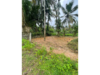 LAND FOR SALE IN KOTTAWA TOWN