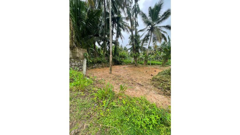 land-for-sale-in-kottawa-town-big-0