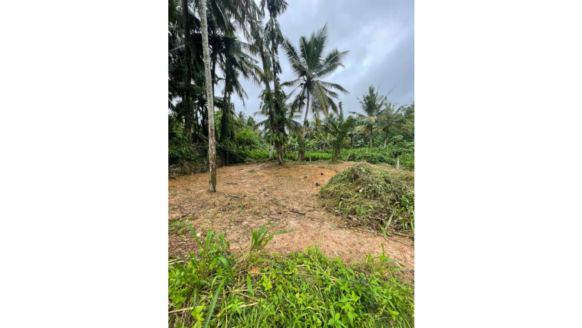 land-for-sale-in-kottawa-town-big-3