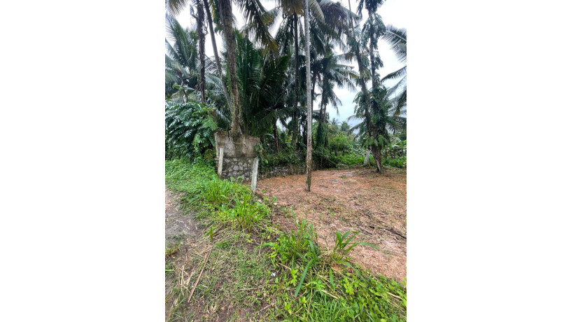 land-for-sale-in-kottawa-town-big-2