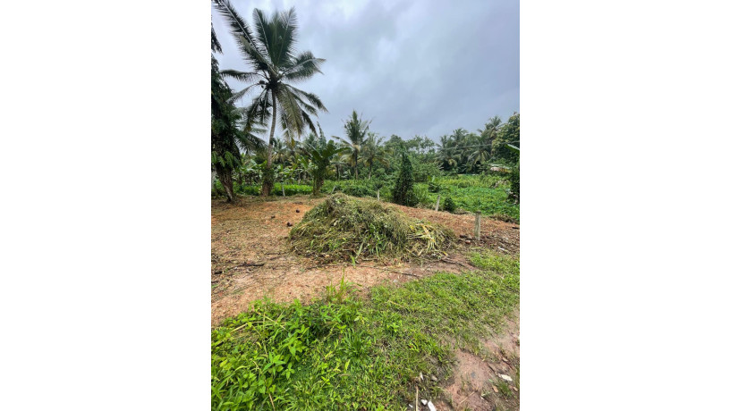 land-for-sale-in-kottawa-town-big-6