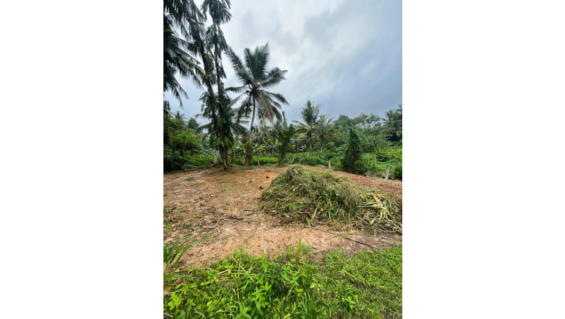 land-for-sale-in-kottawa-town-big-4