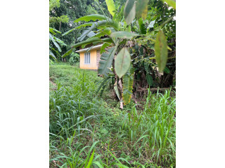 LAND FOR SALE IN POLGAHAWELA