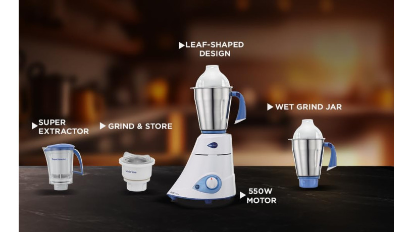 preethi-blue-leaf-silver-mixer-grinder-big-0
