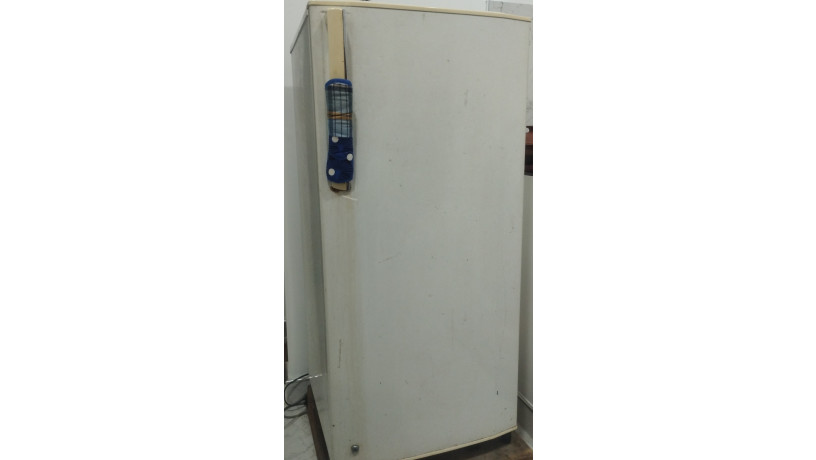 fridge-big-2