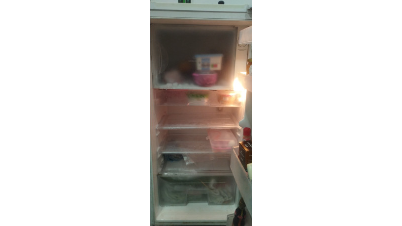 fridge-big-5