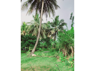 HOUSE WITH LAND FOR SALE IN GALEWELA MATALE