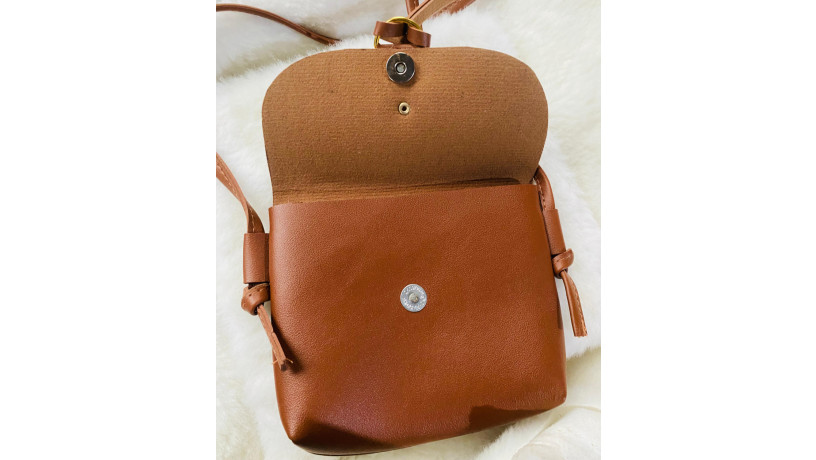 bag-black-brown-colour-available-big-3
