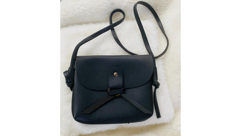bag-black-brown-colour-available-big-2