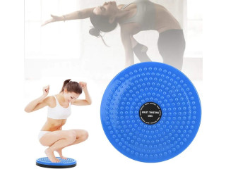 WAIST TWISTER DISK