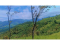 land-for-sale-in-kandy-small-2