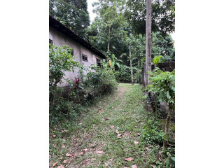 HOUSE FOR SALE IN NARANWALA, WELIWERIYA