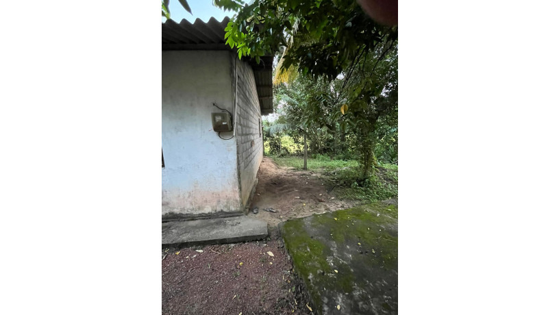 house-for-sale-in-naranwala-weliweriya-big-4