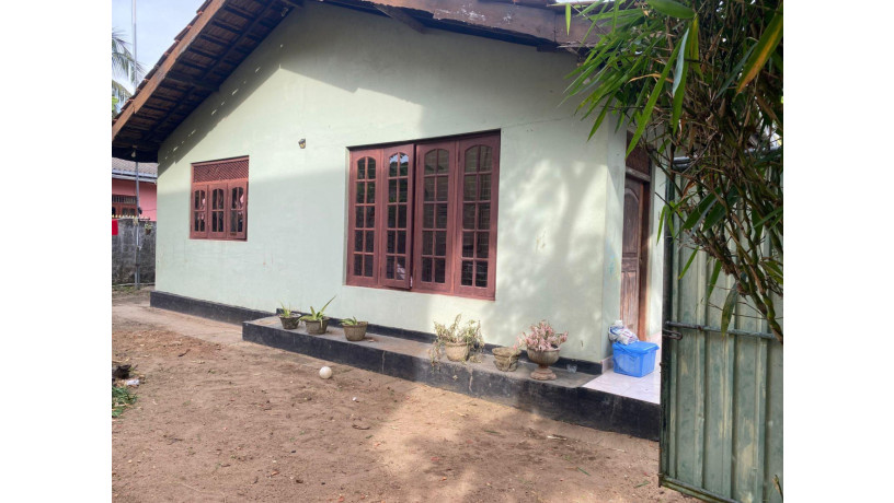 land-for-sale-with-house-in-uswetakeiyawa-big-6