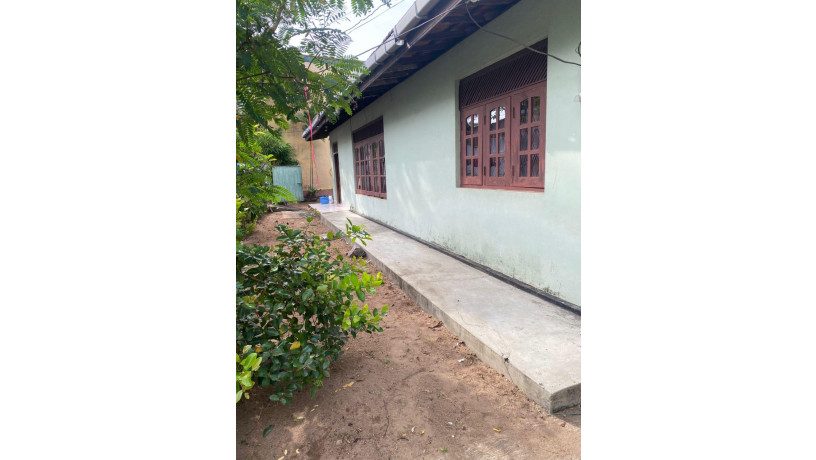 land-for-sale-with-house-in-uswetakeiyawa-big-5