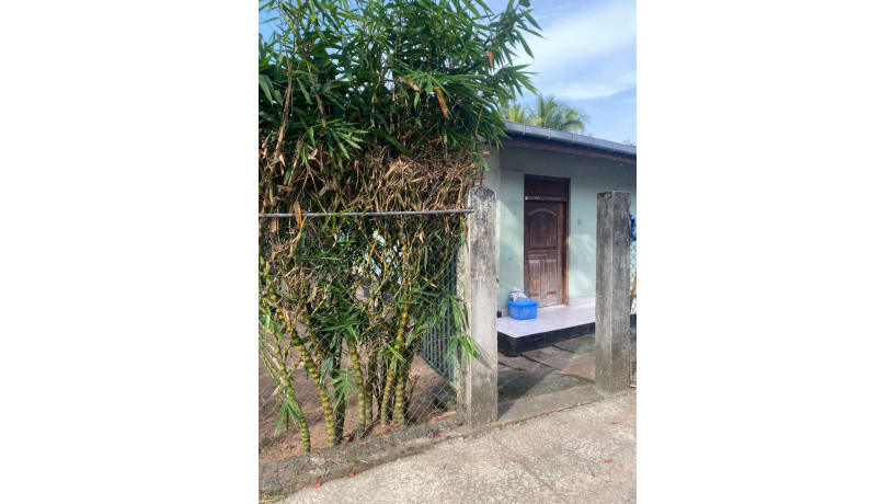 land-for-sale-with-house-in-uswetakeiyawa-big-3