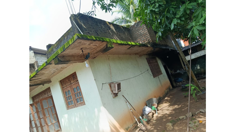 land-with-house-for-sale-in-polhena-matara-big-5