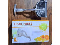 lemon-squeezer-small-0