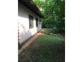 land-with-house-for-sale-kothalawala-small-4