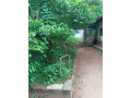 land-with-small-old-house-for-sale-in-pannipitiya-small-3