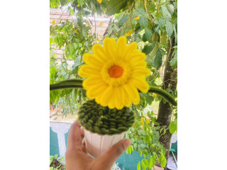 YELLOW FLOWER POT