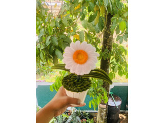 YELLOW AND WHITE POT