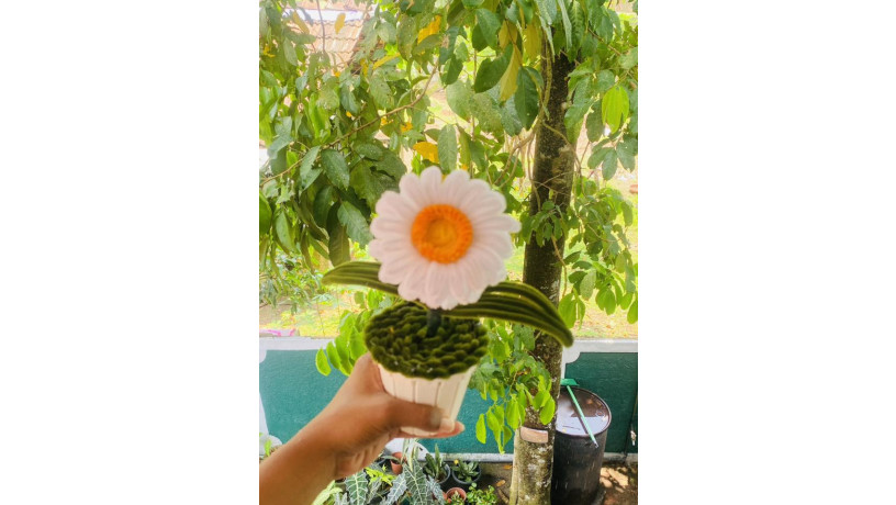 yellow-and-white-pot-big-0
