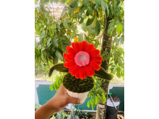 FLOWER POT