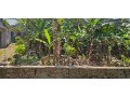 land-for-sale-in-mathegoda-small-4