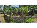 land-for-sale-in-mathegoda-small-2