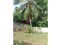 land-for-sale-in-homagama-small-4