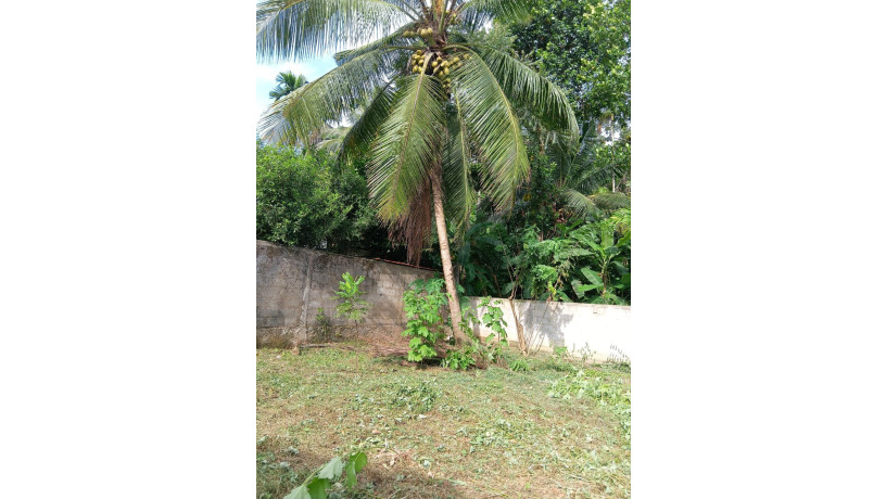 land-for-sale-in-homagama-big-4