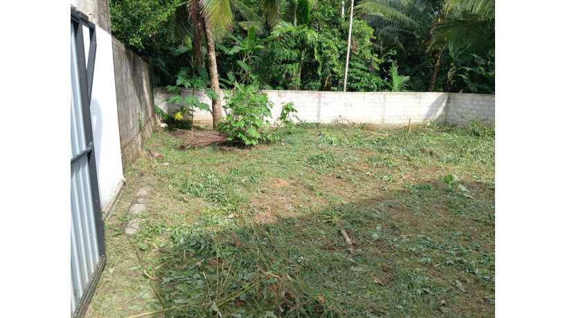 land-for-sale-in-homagama-big-1