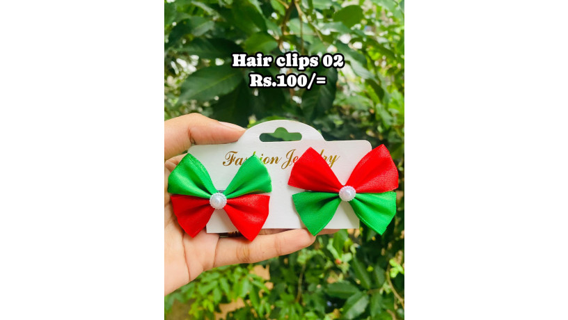 hair-clips-big-0
